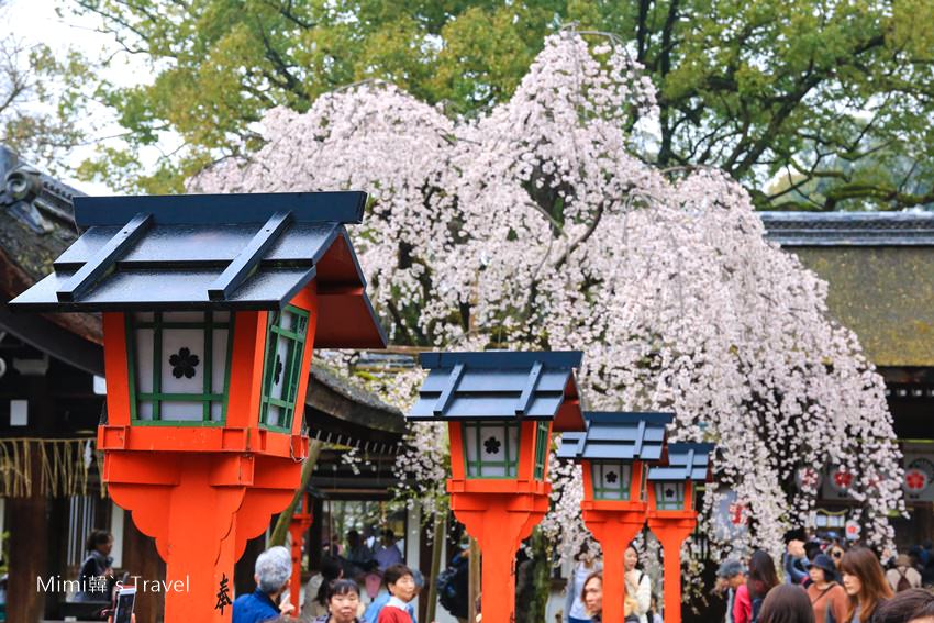 【京都賞櫻景點】平野神社：京都免費賞櫻名所，卡哇伊櫻花松鼠御神籤