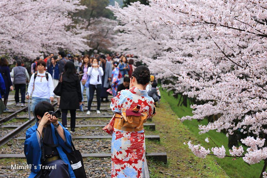【京都賞櫻景點05】蹴上傾斜鐵道：舊鐵橋 x 櫻滿開，沿著南禪寺、哲學之道，超人氣賞櫻路線