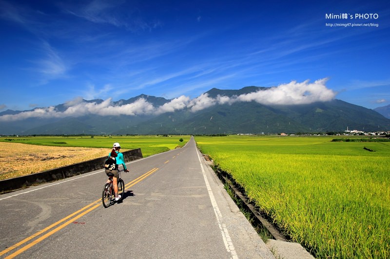 【台東景點】池上環鄉自行車道：穿過伯朗大道，稻浪迷人騎腳踏車正夯