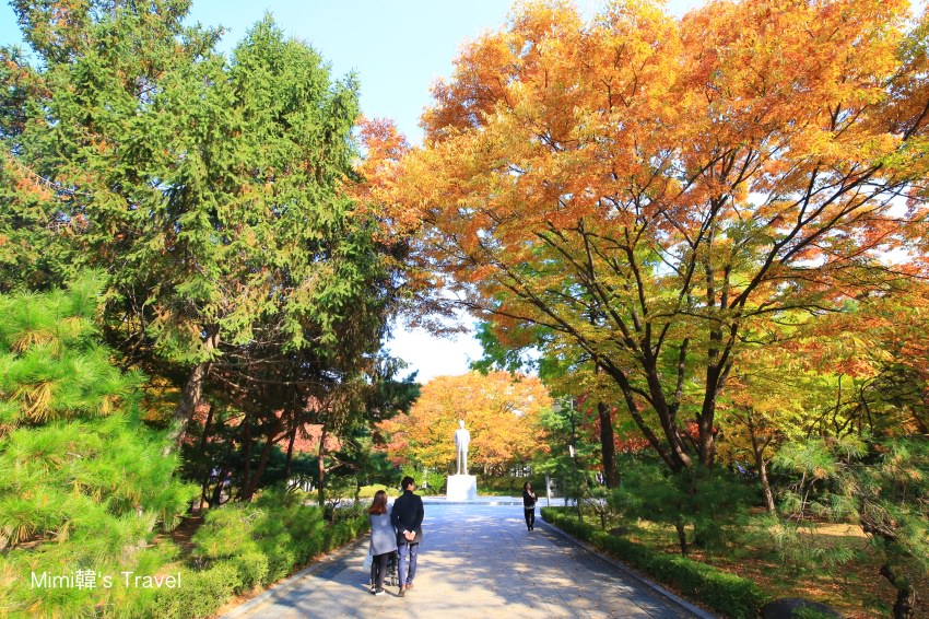 【首爾韓綜景點】江南新沙洞 x 島山公園：秋色超美，雪花秀Sulwhasoo旗艦店順遊