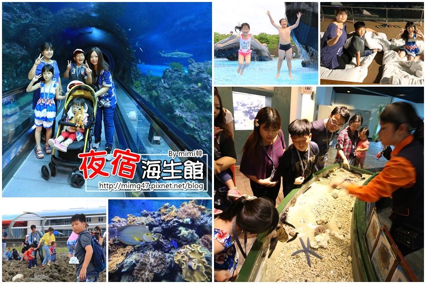 【夜宿屏東海生館】墾丁親子必玩景點，預約建議＆注意事項，夜探海生館活動大公開