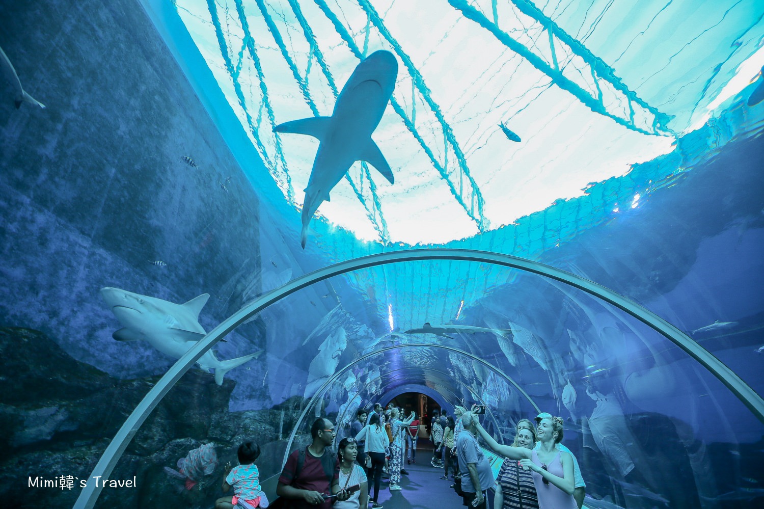 【新加坡】聖淘沙SEA海洋館攻略：便宜門票＆遊玩時間建議，全世界最大水族館躲太陽