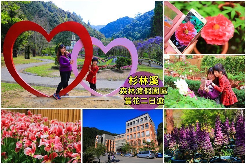 【南投景點】杉林溪森林園區賞花二日遊：牡丹、紫藤花正美，快來享受芬多精。