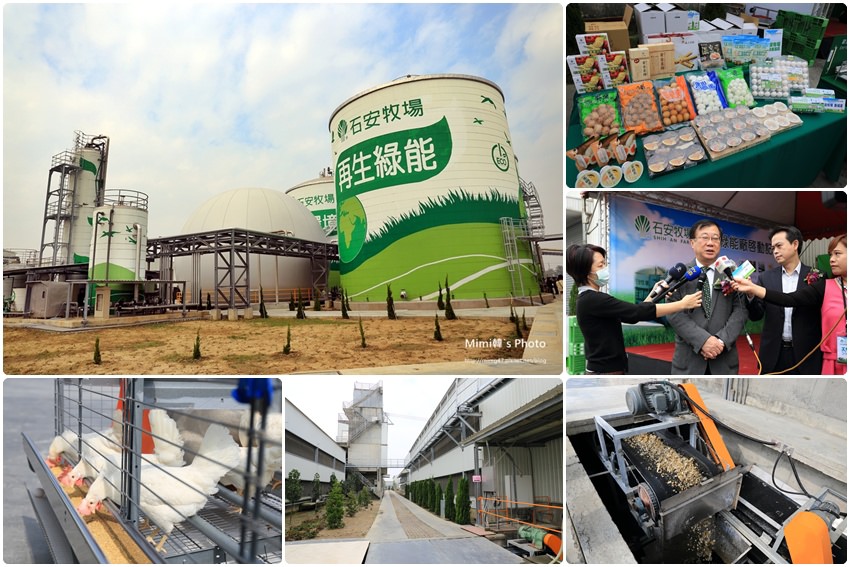 【產業遊記】高雄石安牧場：高品質動福蛋！友善環境善待動物、嚴格洗選全程冷藏。