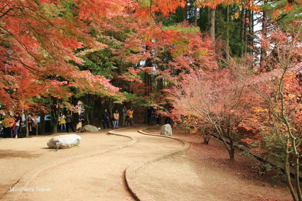 【台中景點】福壽山農場：松廬鴛鴦湖畔楓紅楓葉也太美！是大自然不小心打翻顏料嗎？