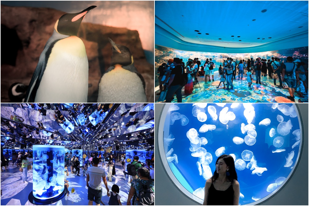 桃園景點：Xpark水族館