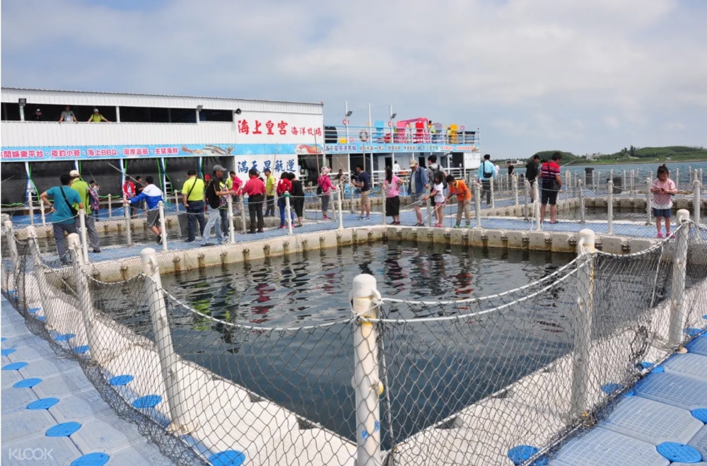 澎湖海洋牧場體驗