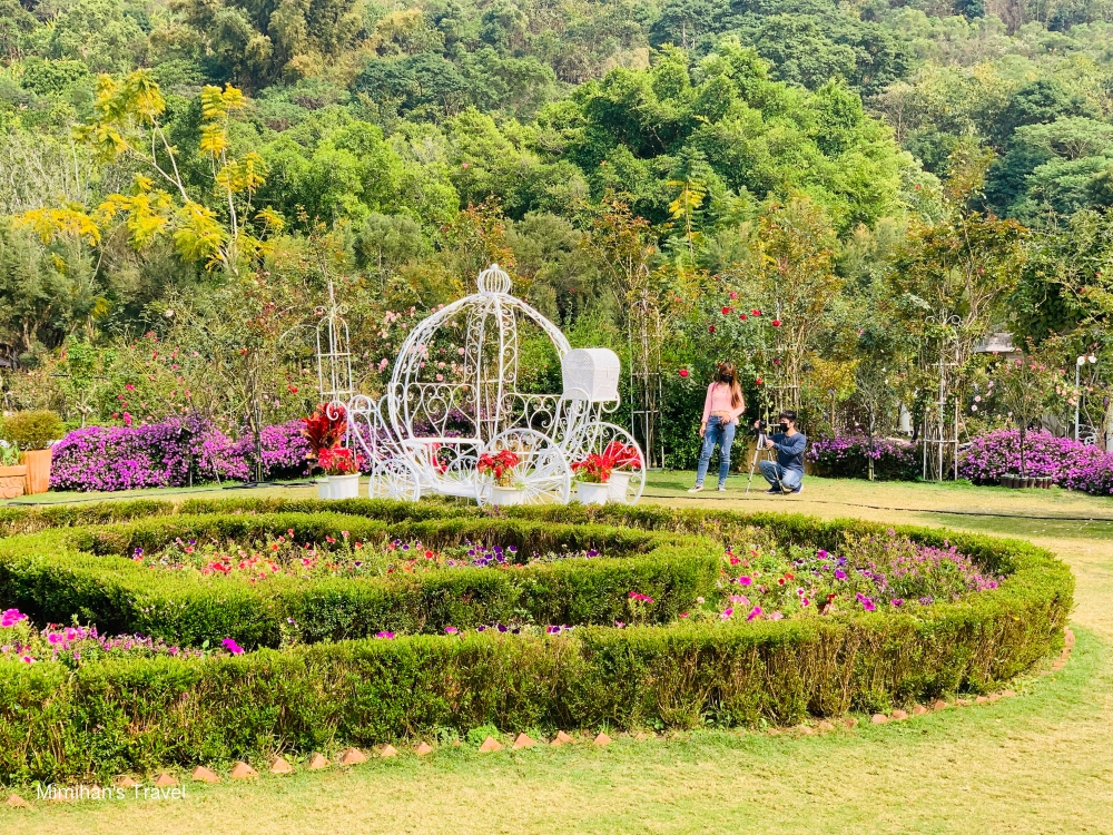 雲林景點：蘿莎玫瑰莊園