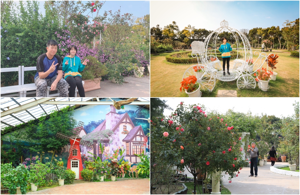 雲林景點：蘿莎玫瑰莊園