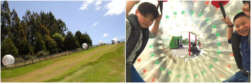 墾丁親子景點：南灣草地雙人飛球體驗