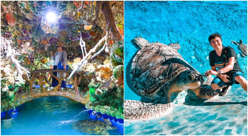 澎湖｜竹灣大義宮珊瑚洞、大海龜立體造景＆網美景觀台，三個澎湖IG景點一次打卡。