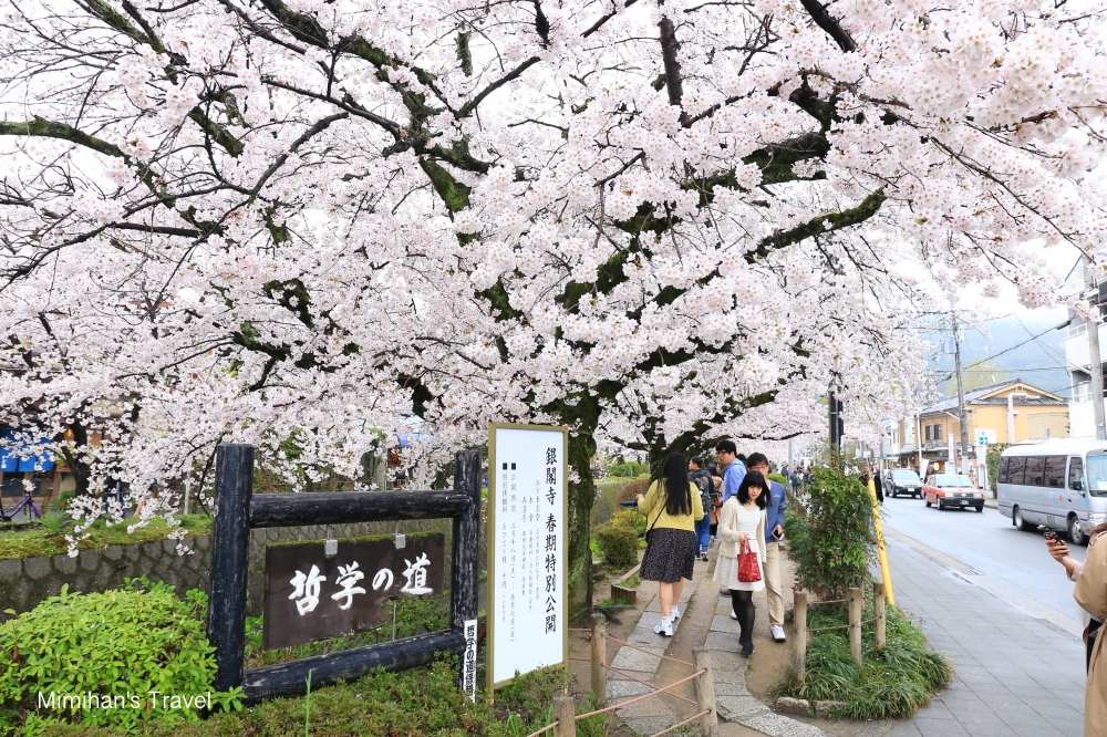 【京都賞櫻】哲學之道：小橋流水櫻花滿開，從蹴上鐵道慢慢逛過來超美的