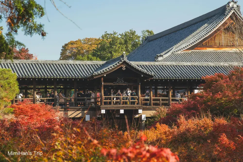 【京都賞楓】東福寺通天橋紅葉實況，絕景拍攝點與交通攻略！