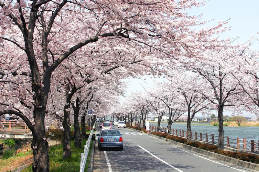 【2026川越住宿推薦】精選三家川越飯店懶人包，交通便利又能夜遊老街！