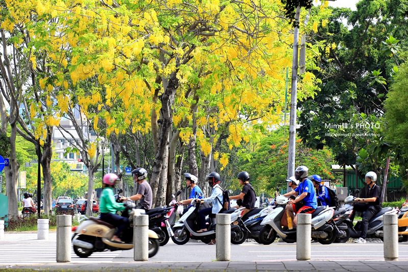 IMG_5092.JPG IMG_5092.JPG