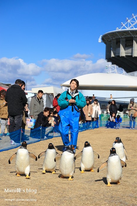 名古屋水族館-27.jpg