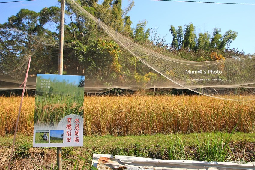 水泉農場18.JPG