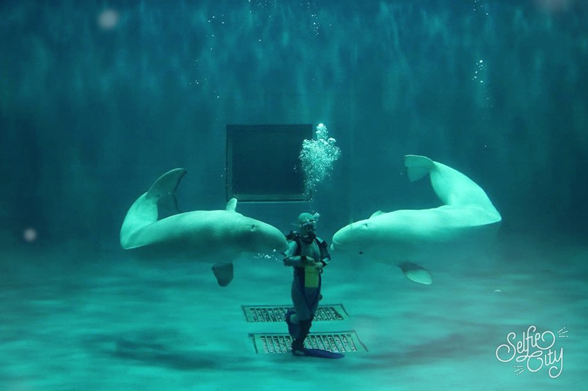 SelfieCity_20170311203244_org.jpg SelfieCity_20170311203244_org.jpg