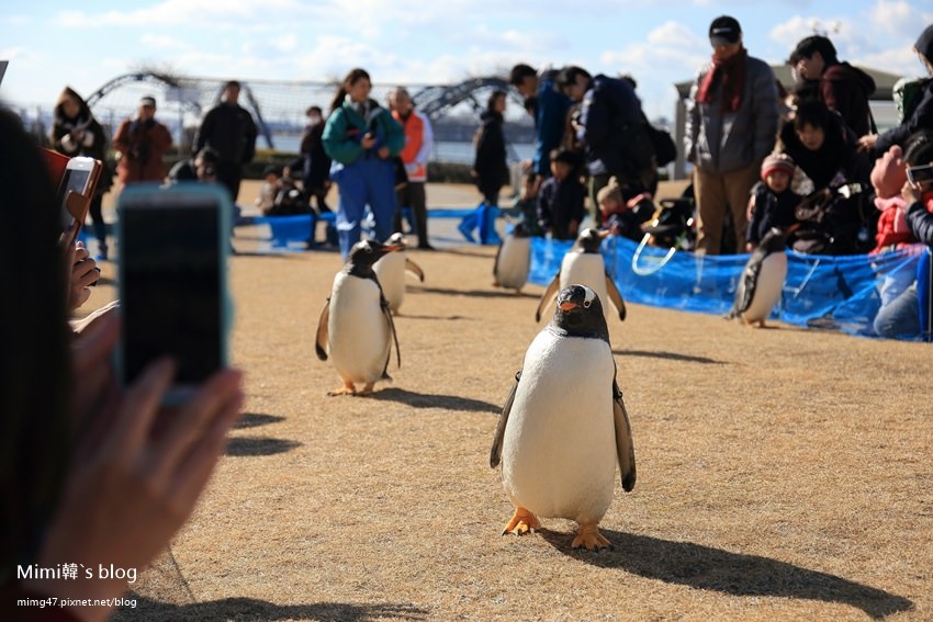 名古屋水族館-28.jpg