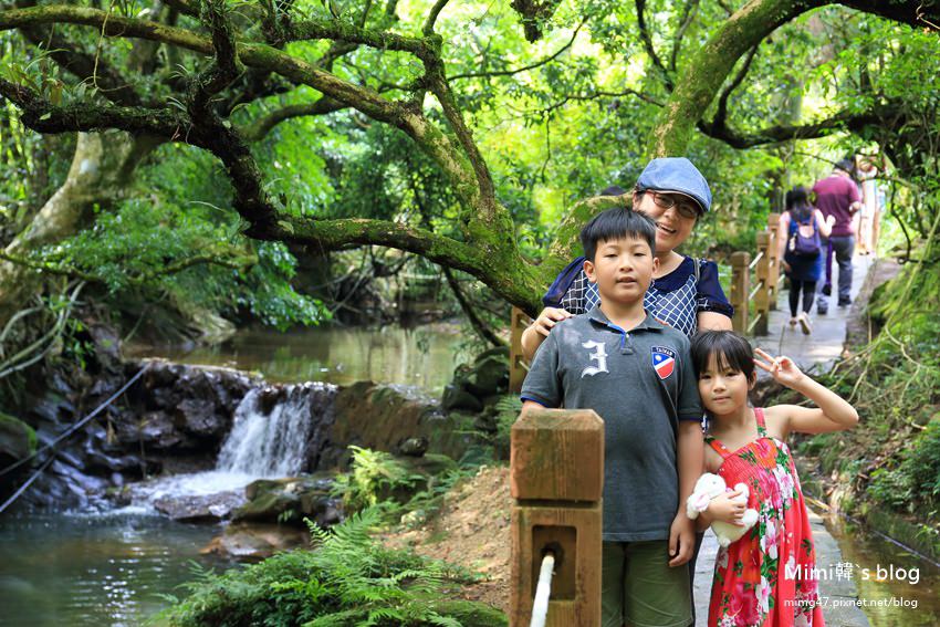 竹子湖繡球花-6.jpg