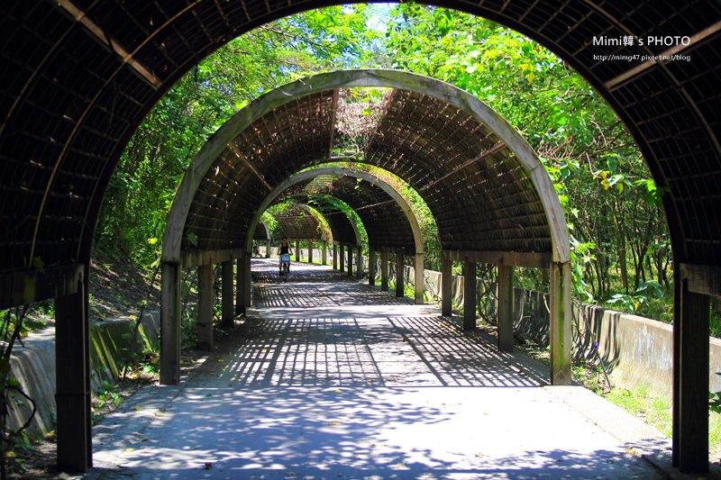 台東森林公園11.JPG