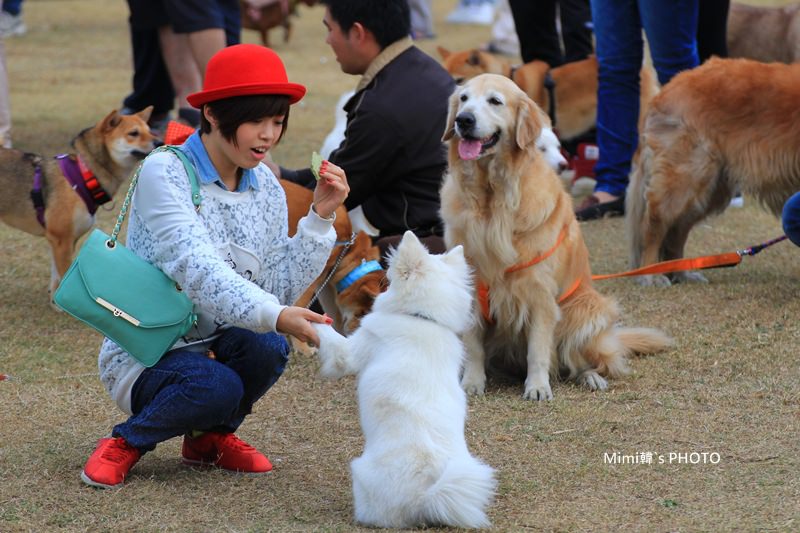 安平林默娘公園14.JPG