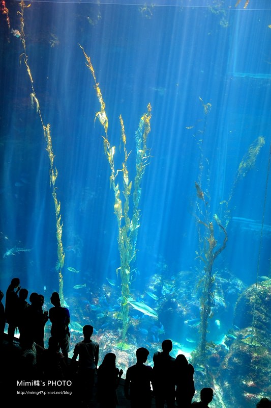 屏東海生館28.JPG