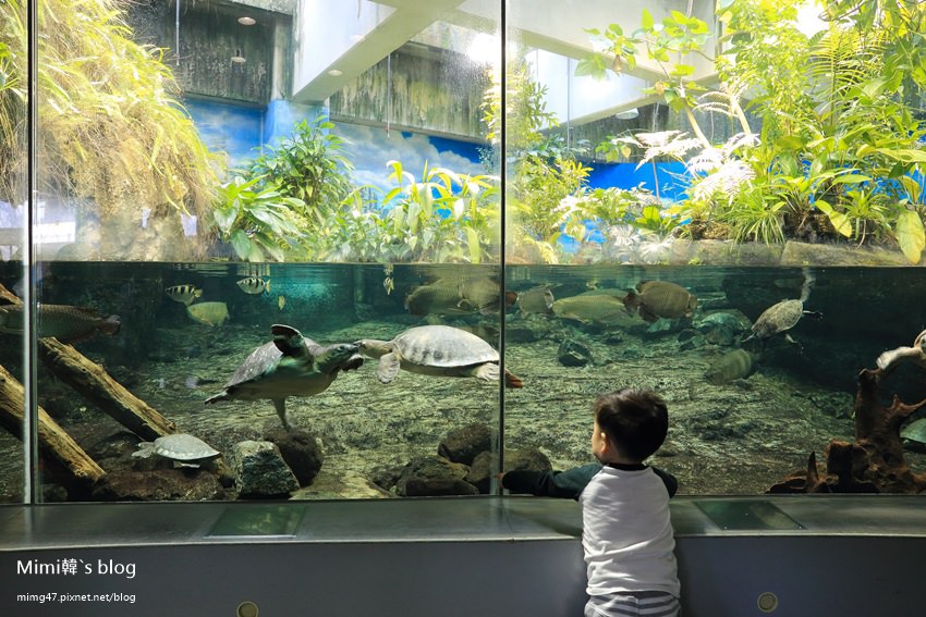 名古屋水族館-49.jpg