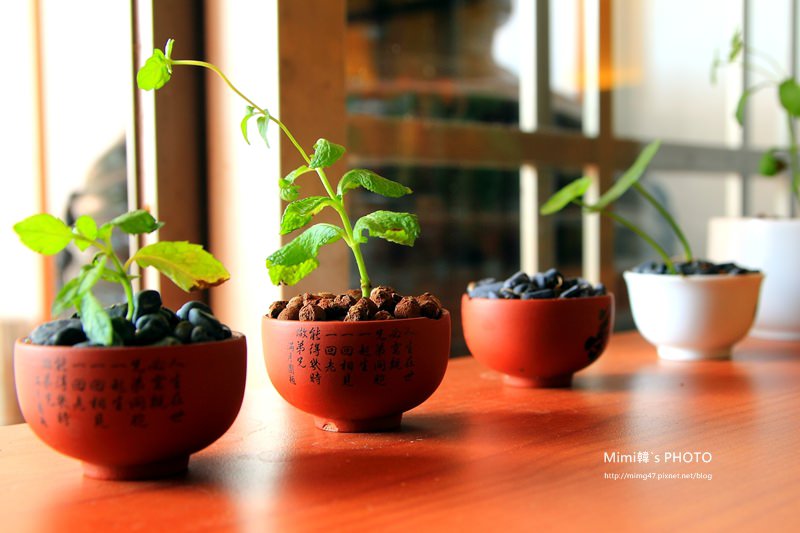 台北找茶園23.JPG