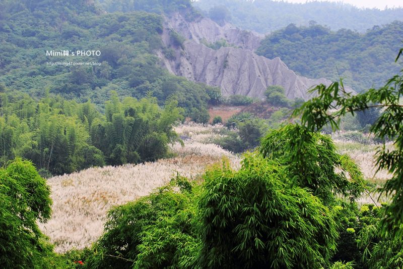 月世界岡林國小7.JPG