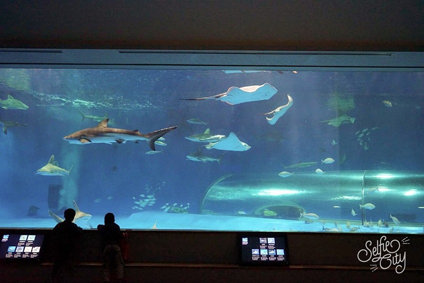 SelfieCity_20170311203709_org.jpg SelfieCity_20170311203709_org.jpg