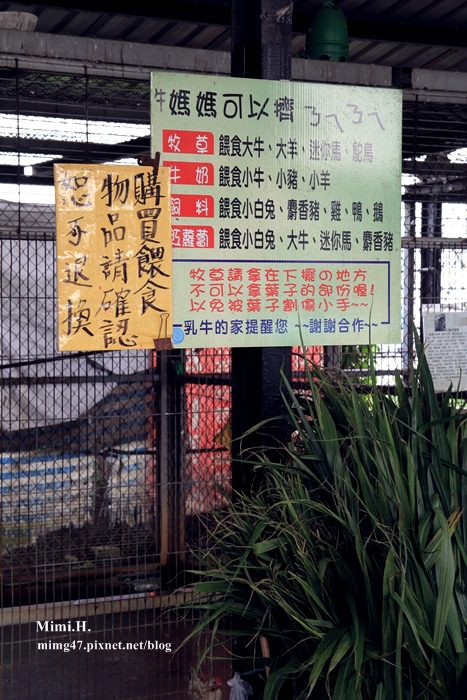 乳牛的家5.JPG