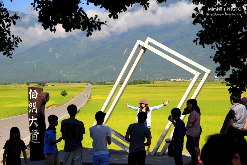 伯朗大道6.JPG