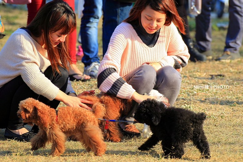 安平林默娘公園31.JPG
