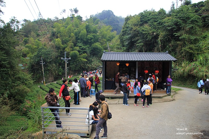 南投鹿谷忘憂森林4.JPG 南投鹿谷忘憂森林4.JPG