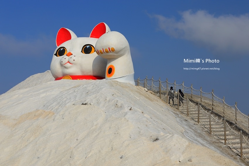 七股鹽山25.JPG 七股鹽山25.JPG