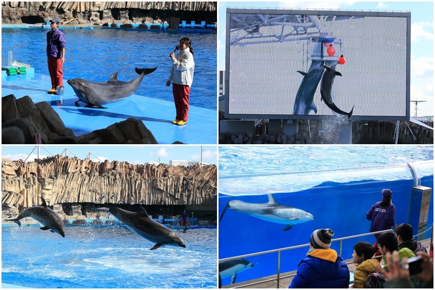 名古屋水族館-21.jpg