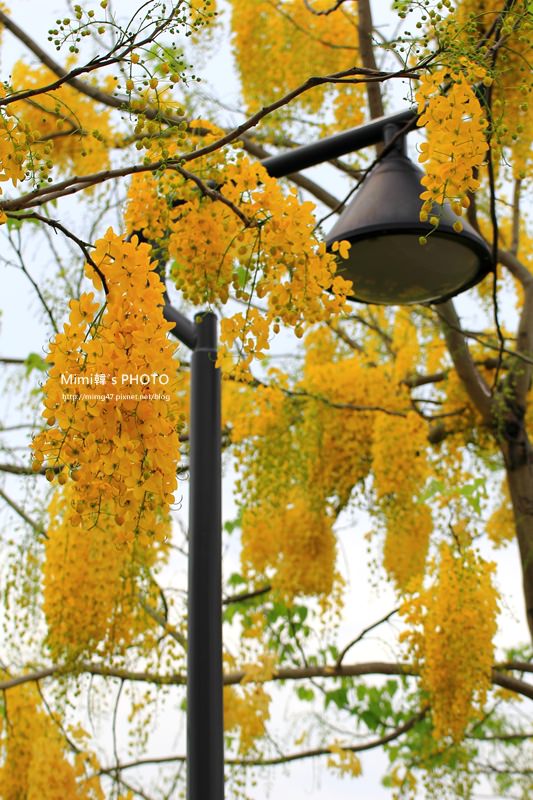 IMG_4855.JPG IMG_4855.JPG