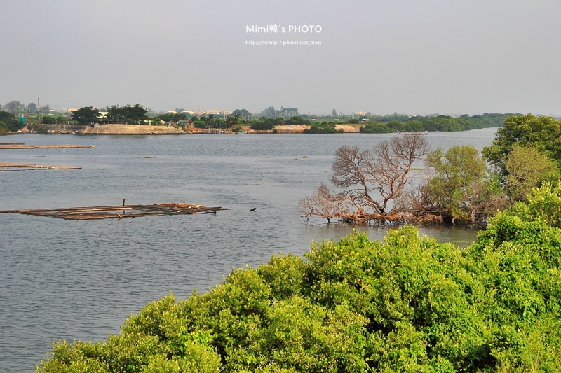 IMG_8548.JPG IMG_8548.JPG