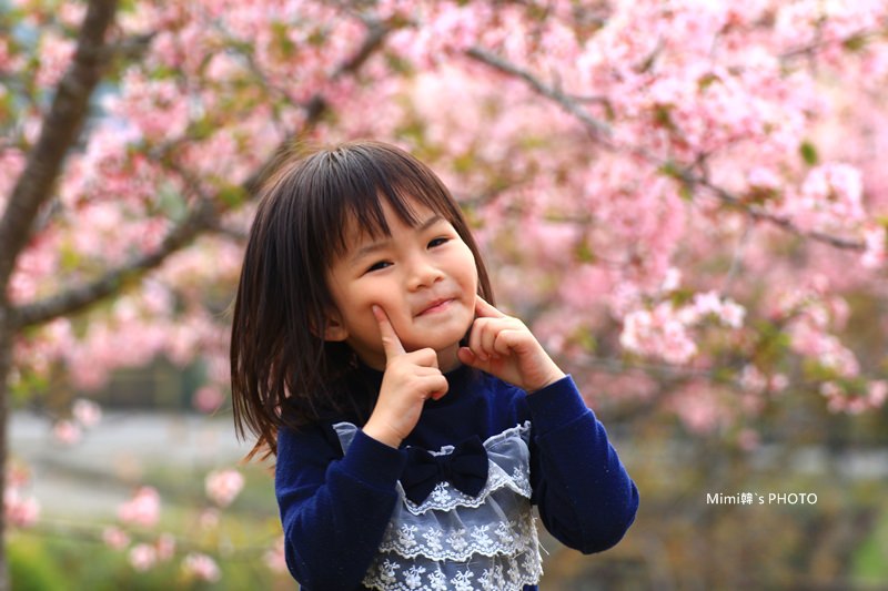 小半天櫻花31.JPG