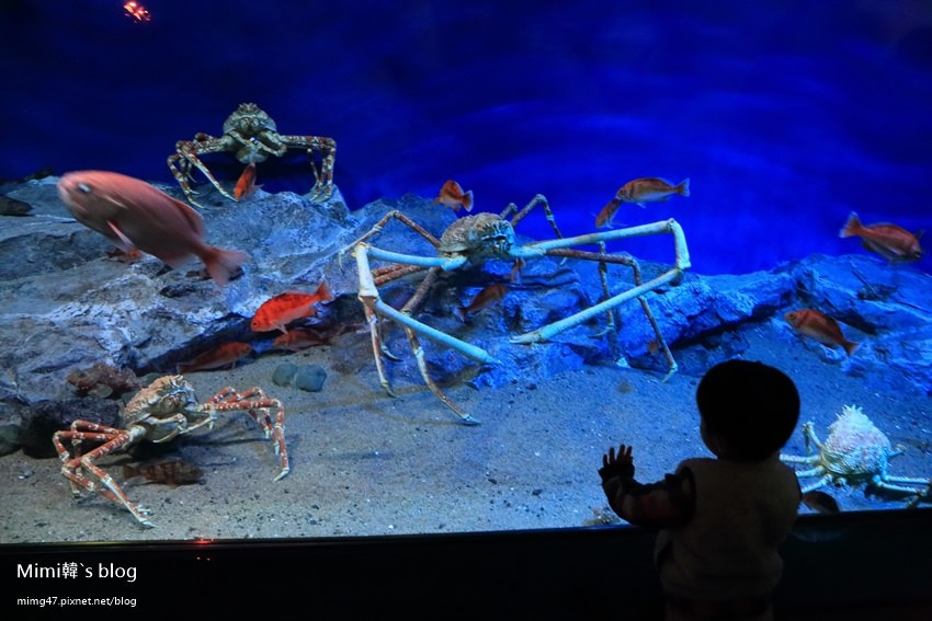名古屋水族館-42.jpg