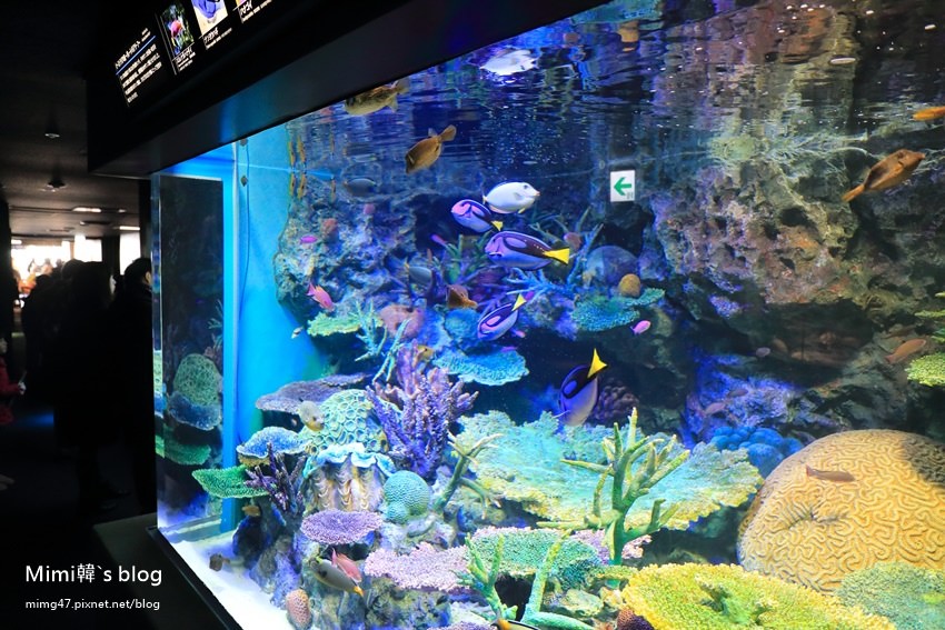 池袋太陽城水族館-29.jpg