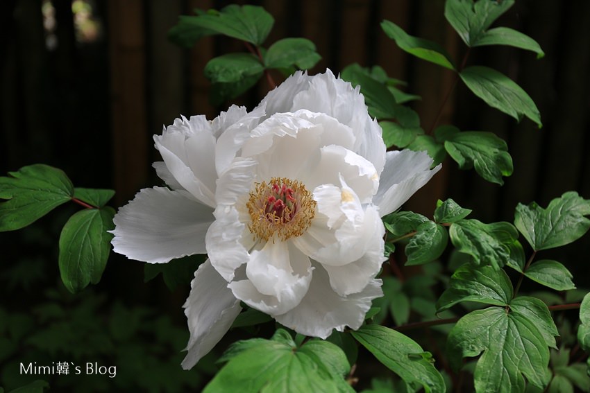 IMG_7566-55.jpg IMG_7566-55.jpg