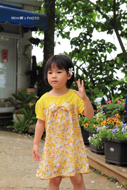 圓林仔桐花17.JPG