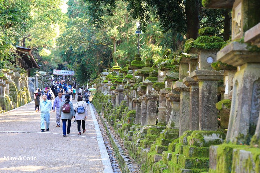 奈良東大寺-37.jpg