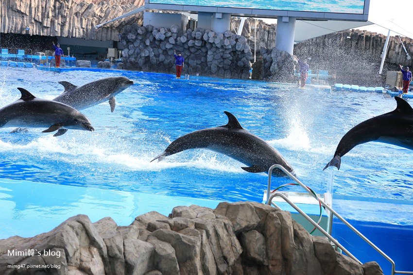 名古屋水族館-23.jpg