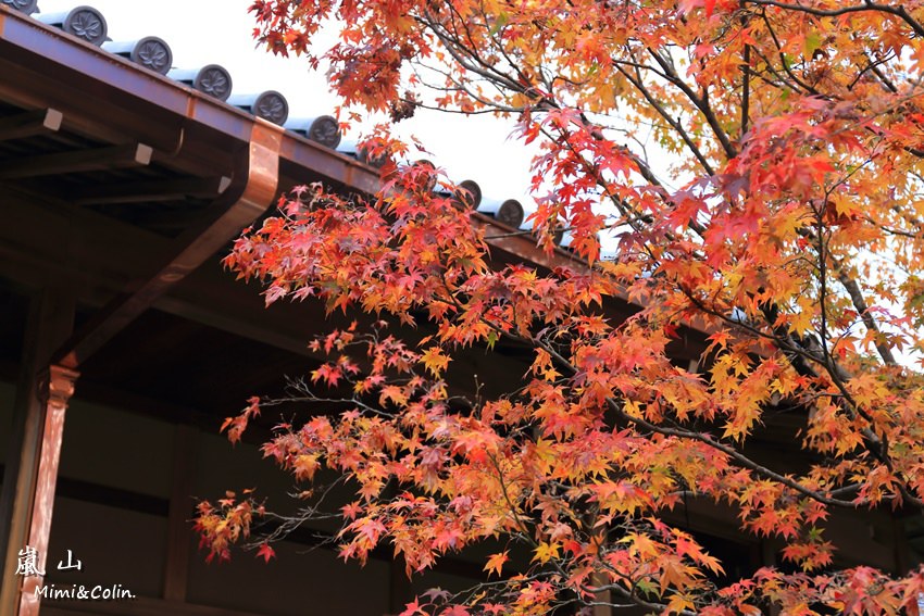 常寂光寺%26;天龍寺-18.jpg