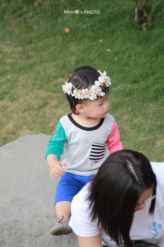 圓林仔桐花31.JPG