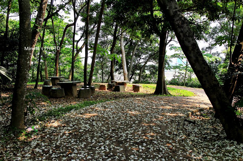 客家大院13.JPG