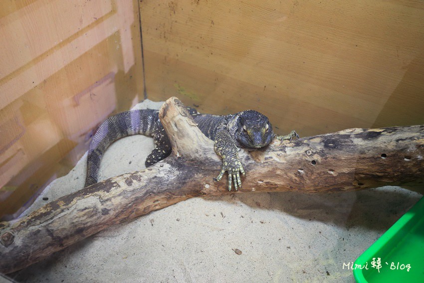 嘉義獨角仙牧場-20.jpg
